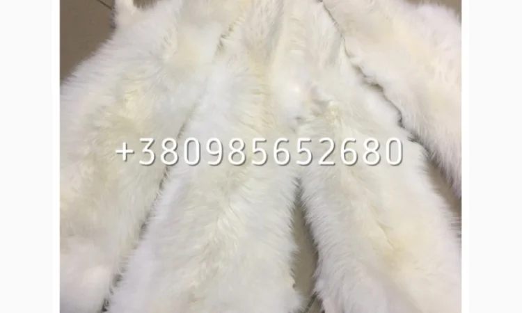 Шкуры мех енота - фото № 13