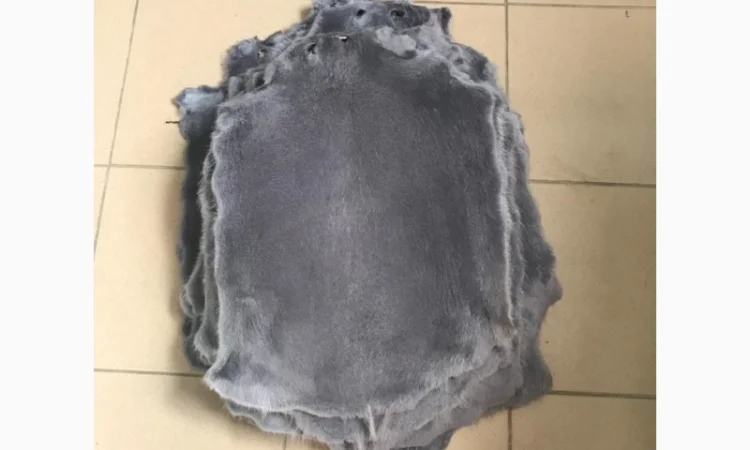 Шкуры мех нутрии - фото № 2