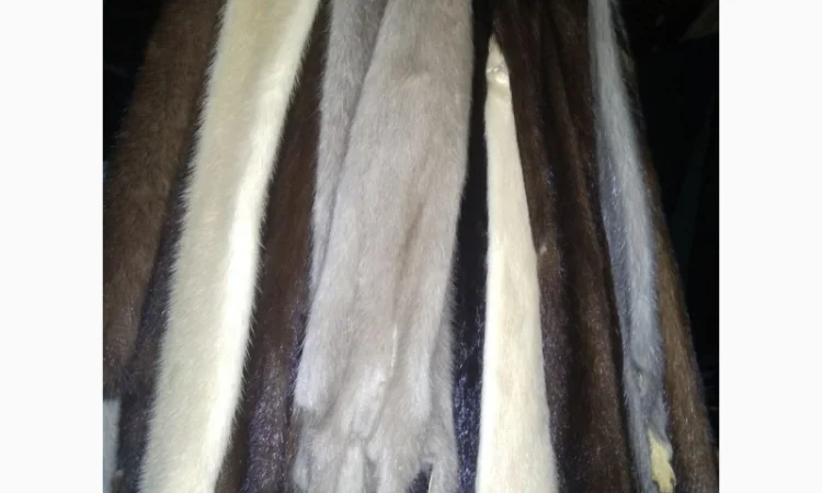 Продам хвосты норки, ченобурки, песца, блюфроста, куницы, енота, лис - фото № 10