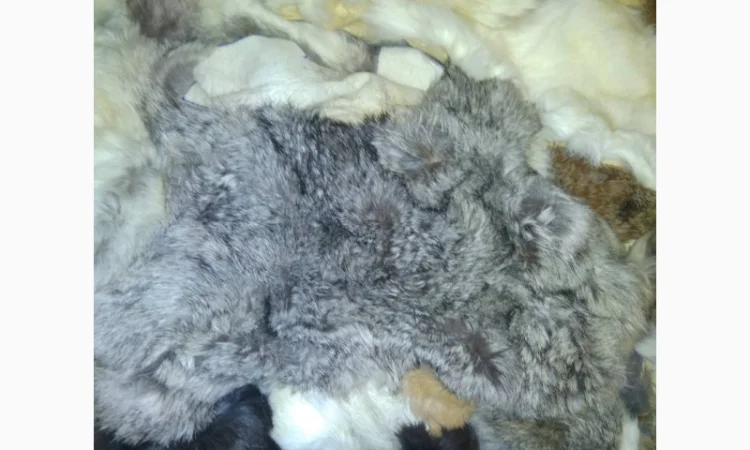 Продам хвосты норки, ченобурки, песца, блюфроста, куницы, енота, лис - фото № 4