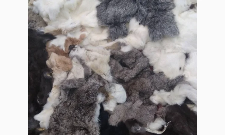 Продам хвосты норки, ченобурки, песца, блюфроста, куницы, енота, лис - фото № 6