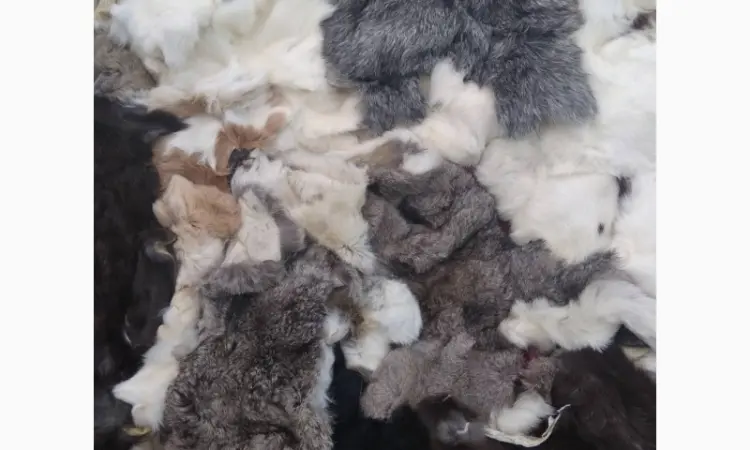 Продам хвости норки - фото № 6