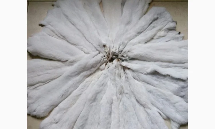 Шкуры мех шиншиллы отборные - фото № 2