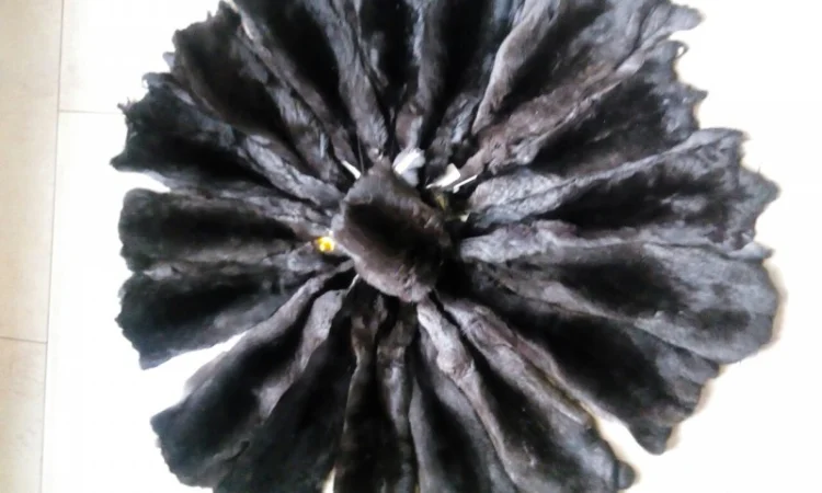 Шкуры мех шиншиллы отборные - фото № 3