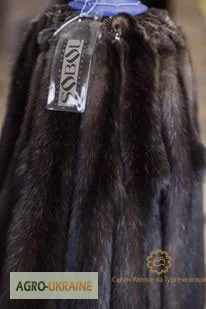 Шкурки соболя - фото № 1