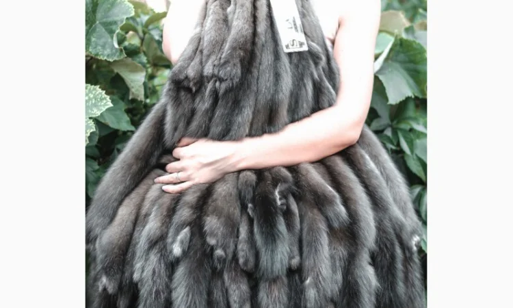 Шкурки соболя - фото № 7