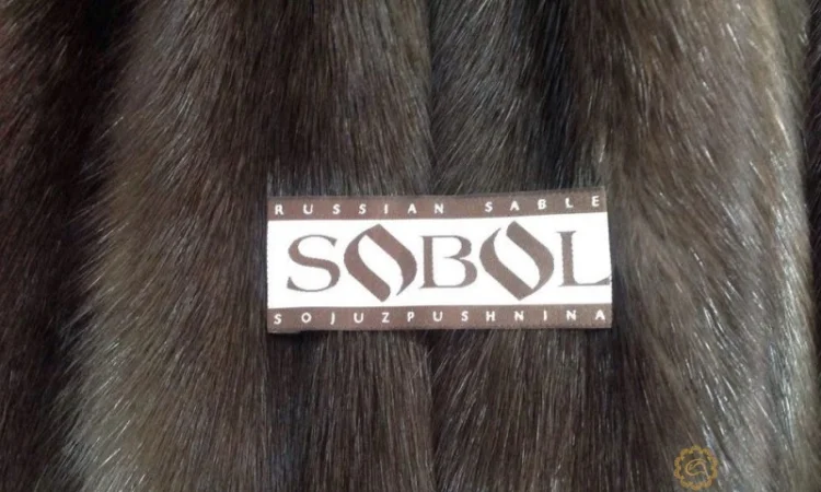 Шкурки соболя - фото № 8