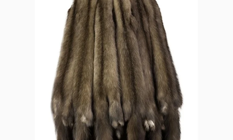 Продам шкуры соболя - фото № 3