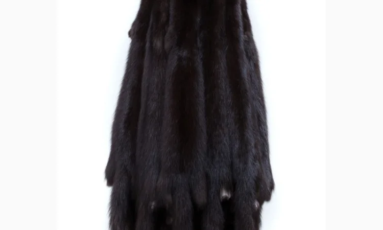 Продам шкуры соболя - фото № 5