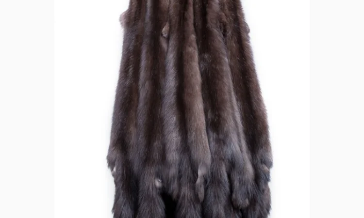 Продам шкуры соболя - фото № 7