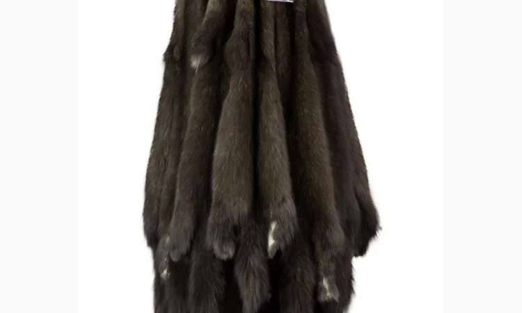 Продам шкуры соболя - фото № 8