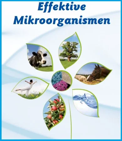 Комплексный микробиологический препарат XXI века для животных и птиц - фото № 2