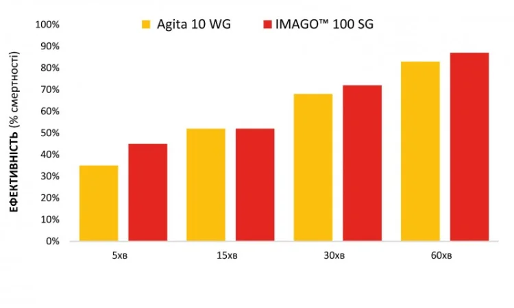 IMAGO SG. Новий інсектицид від мух., комарів та інш - фото № 3