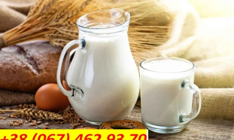 Молоко коров'яче - фото № 1