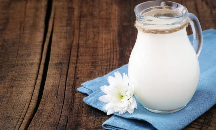 Продамо молоко коров'яче - фото № 1