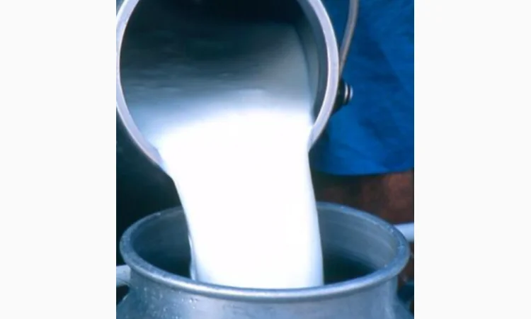 Пропонується свіже цільне молоко - фото № 1