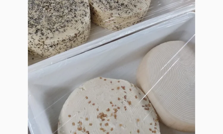 Продам козье молоко - фото № 3