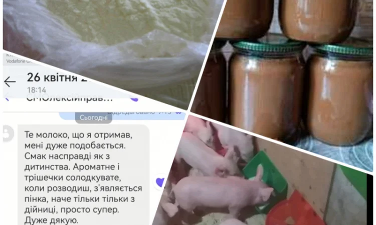 Сухе молоко 26% - висока якість - фото № 1