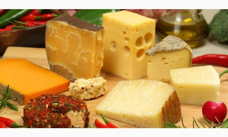 Куплю твердые сыры в ассортименте а также сырный продукт - фото № 1