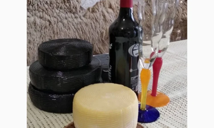 Продам козье молоко и сыры из козьего молока - фото № 1