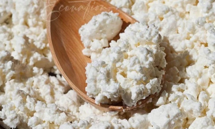 Продаж ОПТОМ Сулугуні сир, бринза (імеритинський), копчений сир - фото № 3