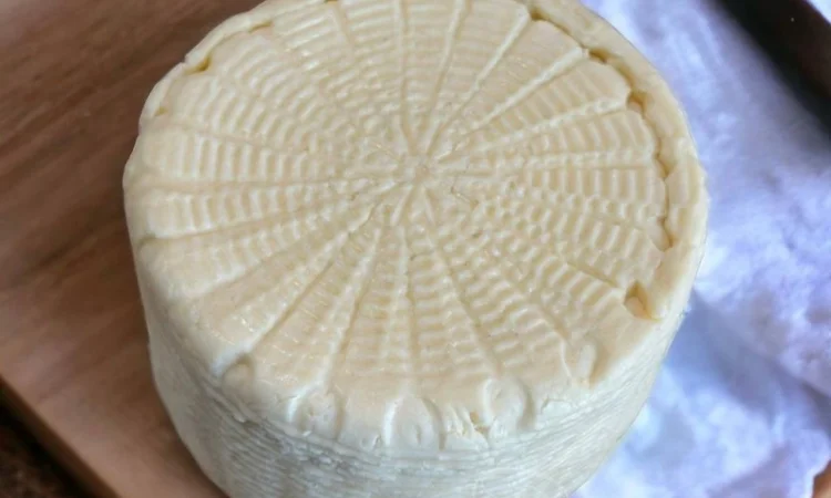 Продаж ОПТОМ Сулугуні сир, бринза (імеритинський), копчений сир - фото № 17