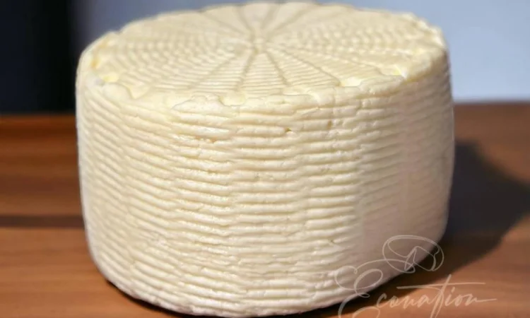 Продаж ОПТОМ Сулугуні сир, бринза (імеритинський), копчений сир - фото № 16