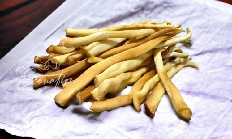 Копчені сири Оптом. Коса копчена. Коса молочна. Нитка сулугуні копчена. Чечіл - фото № 3