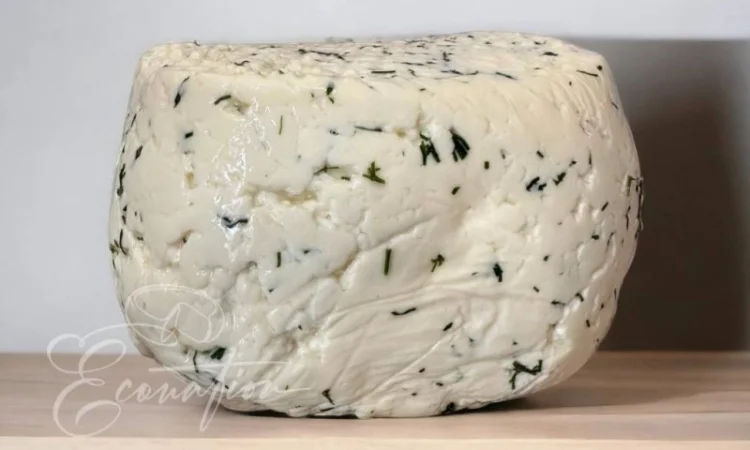 Адигейський НАТУРАЛЬНИЙ СИР. Імеритинський бринза. Сулугуні з коровʼячого молока ОПТ - фото № 2