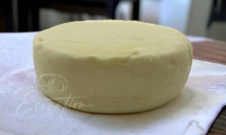 Адигейський НАТУРАЛЬНИЙ СИР. Імеритинський бринза. Сулугуні з коровʼячого молока ОПТ - фото № 4