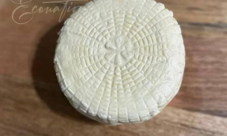 Адигейський НАТУРАЛЬНИЙ СИР. Імеритинський бринза. Сулугуні з коровʼячого молока ОПТ - фото № 20