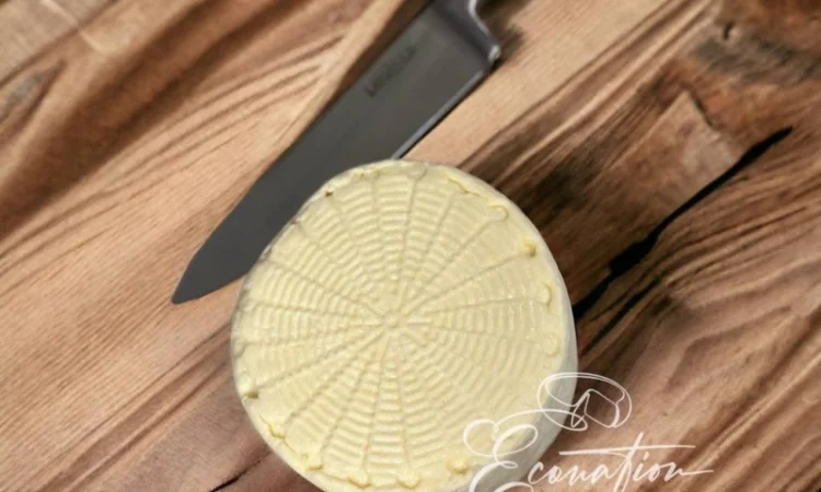 Адигейський НАТУРАЛЬНИЙ СИР. Імеритинський бринза. Сулугуні з коровʼячого молока ОПТ - фото № 19