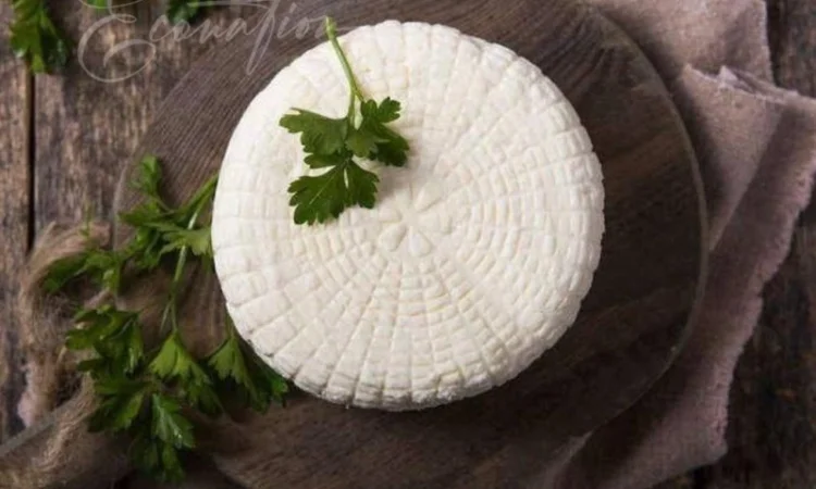 Адигейський НАТУРАЛЬНИЙ СИР. Імеритинський бринза. Сулугуні з коровʼячого молока ОПТ - фото № 16