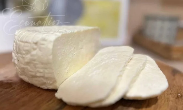 Адигейський НАТУРАЛЬНИЙ СИР. Імеритинський бринза. Сулугуні з коровʼячого молока ОПТ - фото № 14