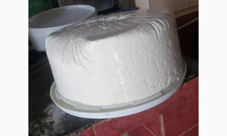 Будз (бринза) овеча - фото № 4