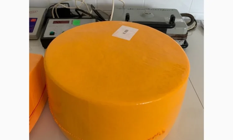 Сырный продукт от производителя - фото № 1