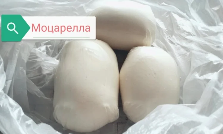 Продам крафтовий сир моцарела, халумі - фото № 1