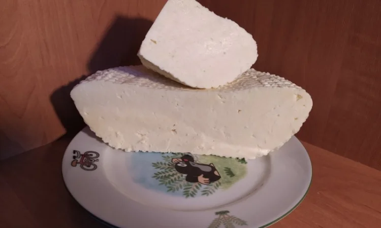 Продам крафтовий сир моцарела, халумі - фото № 2