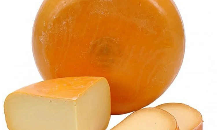 Твердий Сир, Опт - фото № 1