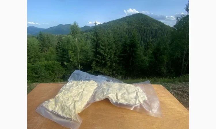 Гуцульська бриндза - фото № 1