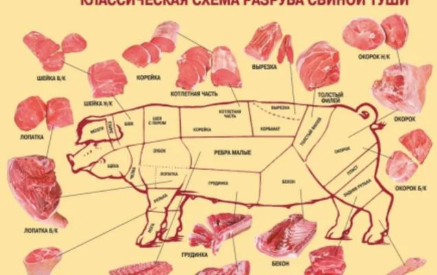 Закупаем свиней оптом - фото № 1