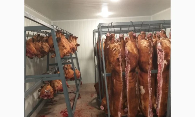 Закупаем свиней оптом - фото № 2