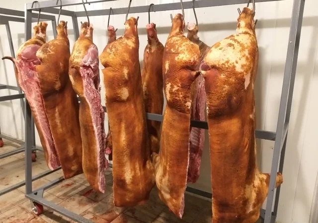 Закупка свиней и свиноматок на мясо живым весом - фото № 1
