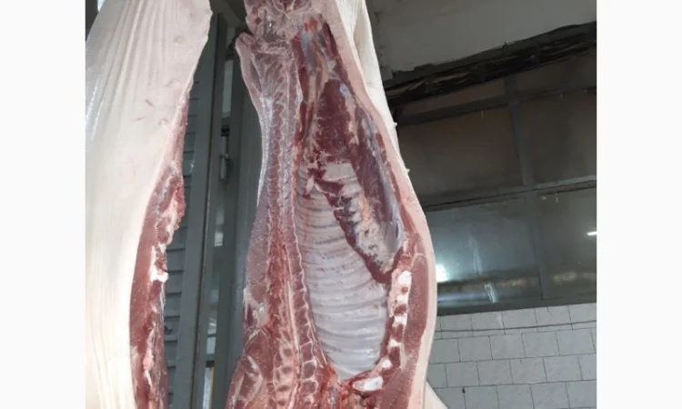 Продаем поросят, свинок, полутуши, кусок, субпродукты - фото № 1
