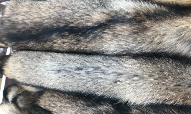 Продам выделанные шкуры енота - фото № 5