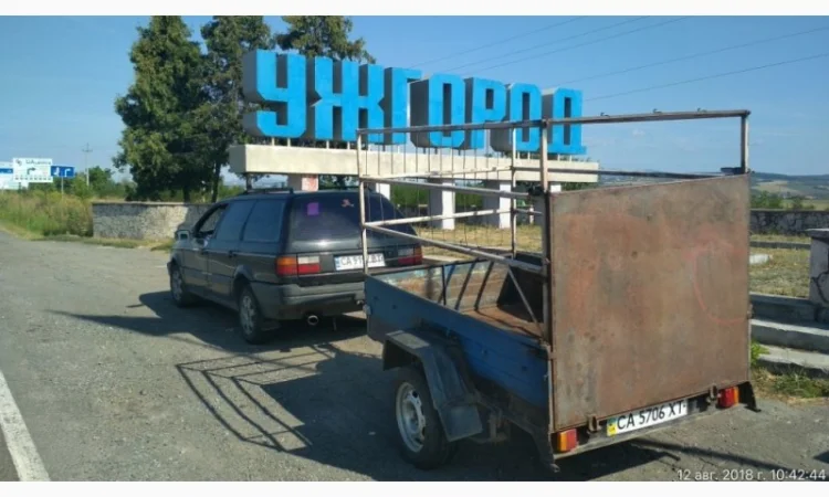 Перевезу Вашу худобу по Україні (корови, свині, вівці, кози) - фото № 2