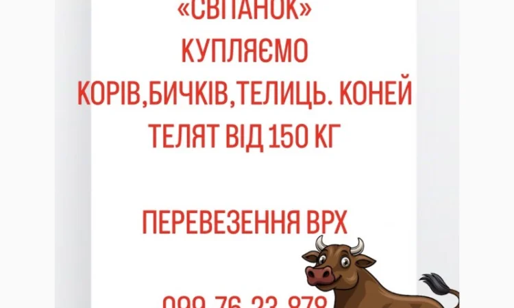 Ферма закуповуемо - фото № 1