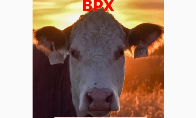 М’ясопереробне Підприємство - фото № 1