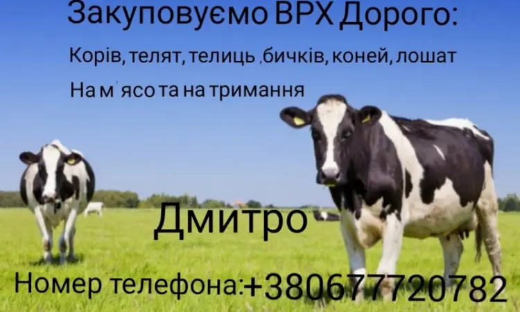 Закупаем - фото № 1
