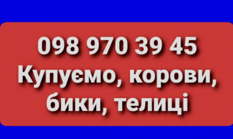 Куплю ВРХ у Черкасах - фото № 1